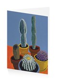 Sunlit cactus