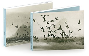 Norman Ackroyd CBE RA Seascapes with Flying Birds